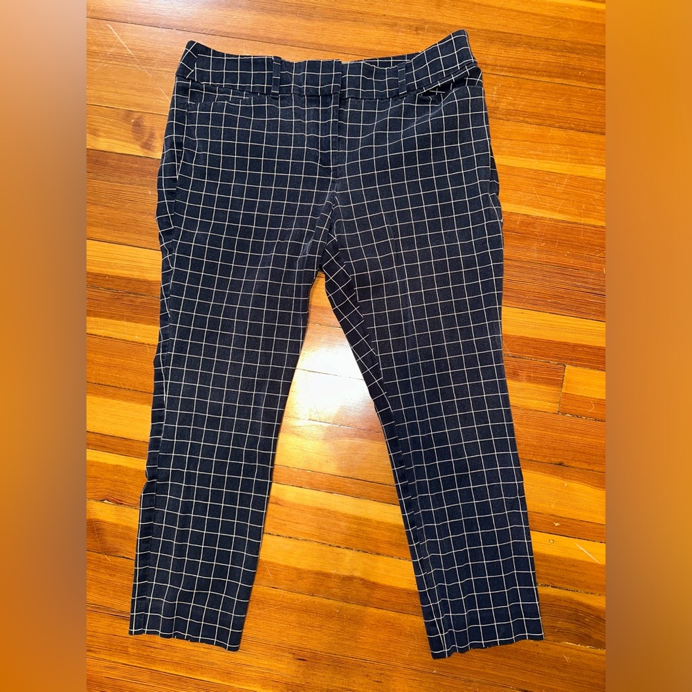 Loft Ankle Dress Pants